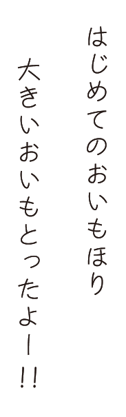 はじめてのおいもほり。大きいおいもとったよー!!